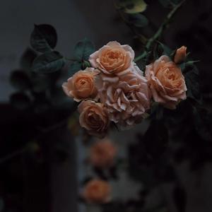 赵丽唐静少年宫小演员
